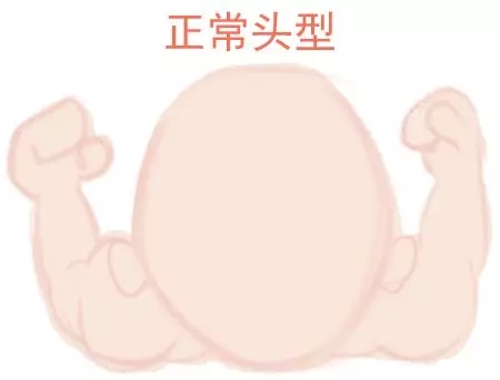 宝宝圆头好还是扁头好？这些奥秘好多爸妈都不知路1.webp.jpg